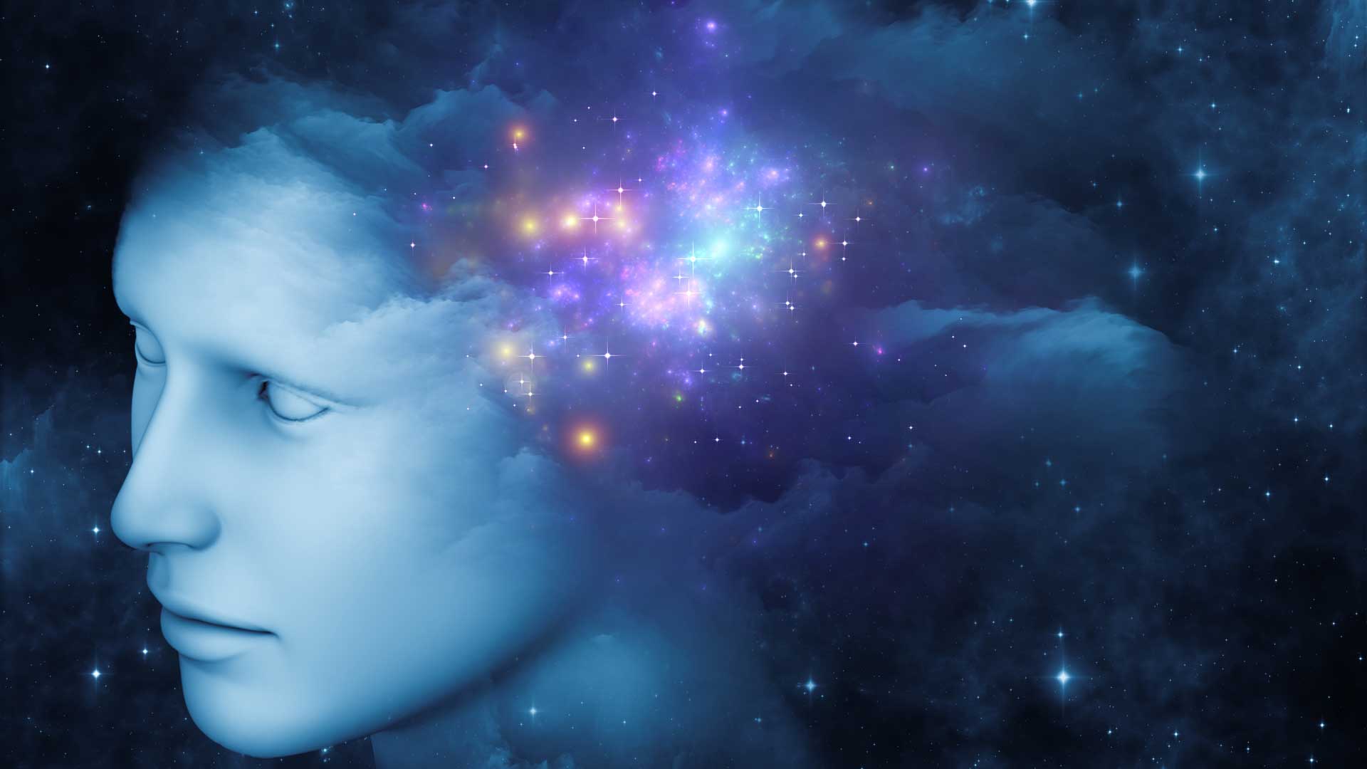 Nuevo CURSO MYA 2024 Campus – INICIO